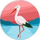 Nandhini profile picture